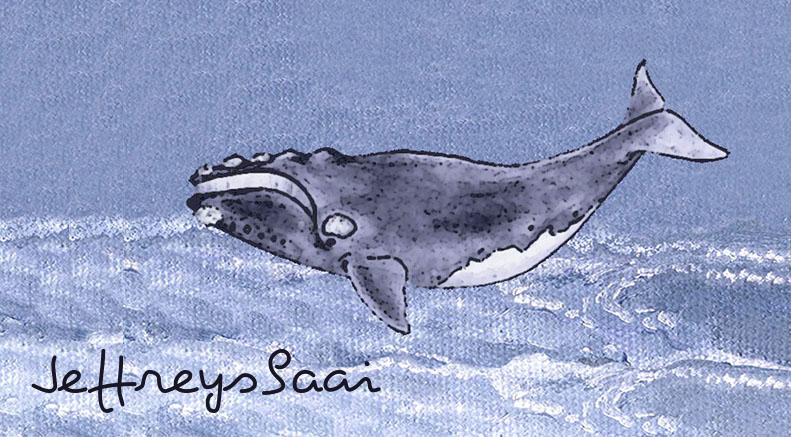 Jeffreysbaai Keyring 38