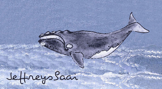 Jeffreysbaai Keyring 38