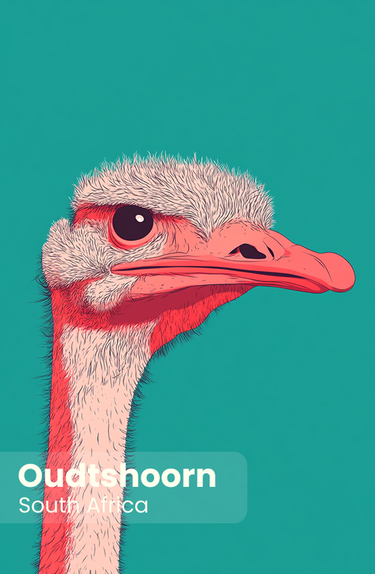 Oudtshoorn Magnet 19