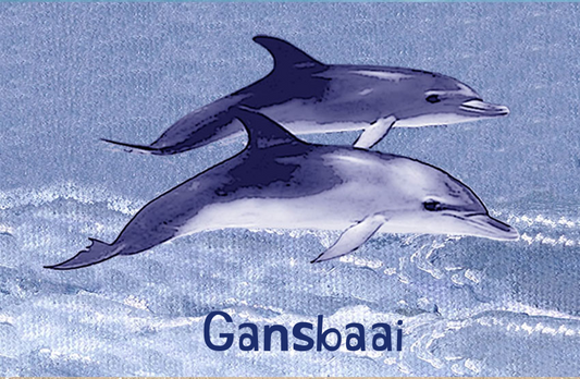 Gansbaai Magnet 2