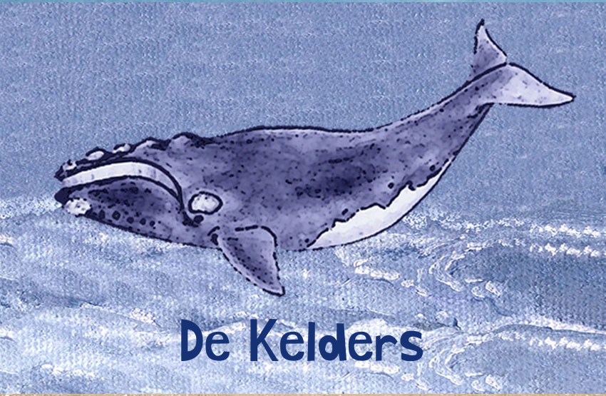 De Kelders Magnet 2