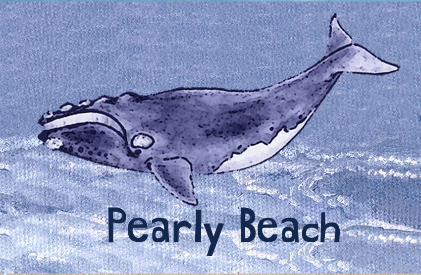 Pearly Beach Magnet 3