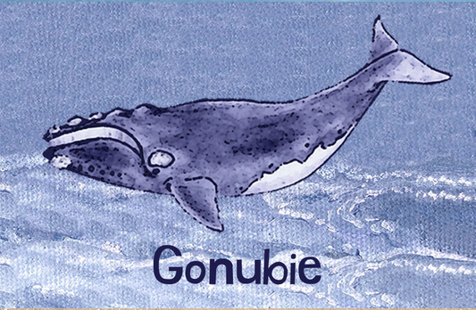 Gonubie Magnet 7