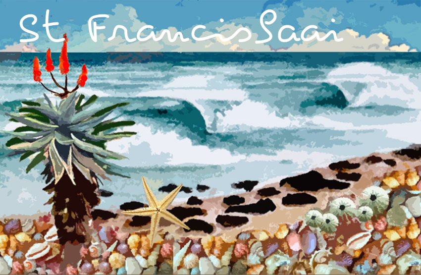 Product showcase image from staged upload