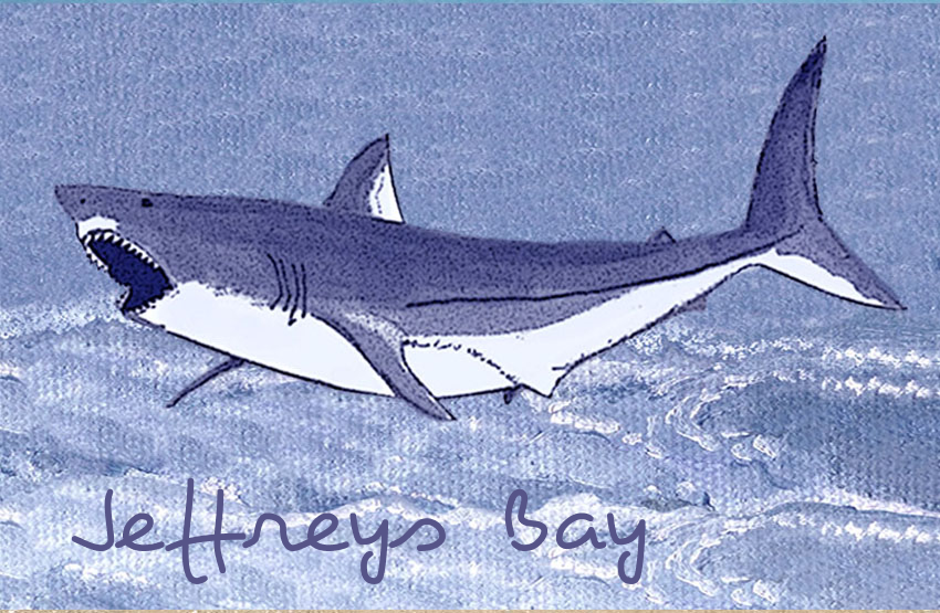 Jeffreys Bay Magnet 17