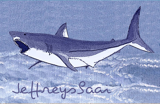 Jeffreysbaai Magnet 17