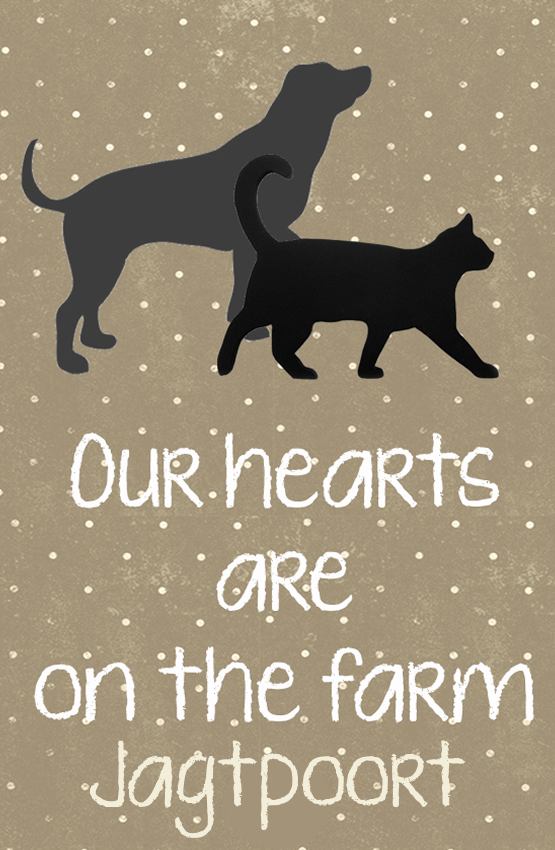Jagtpoort Magnet 43
