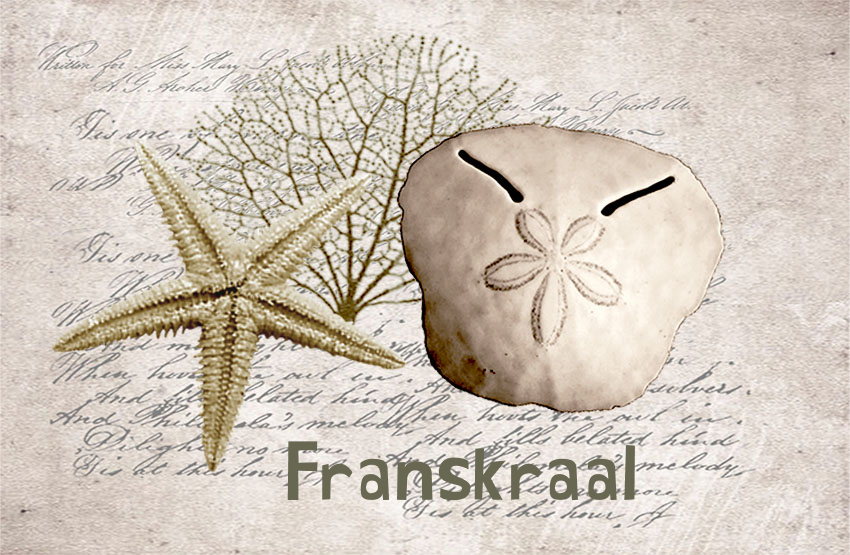 Franskraal Magnet 5