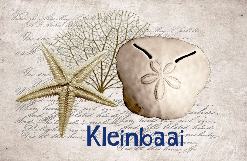 Kleinbaai Magnet 5