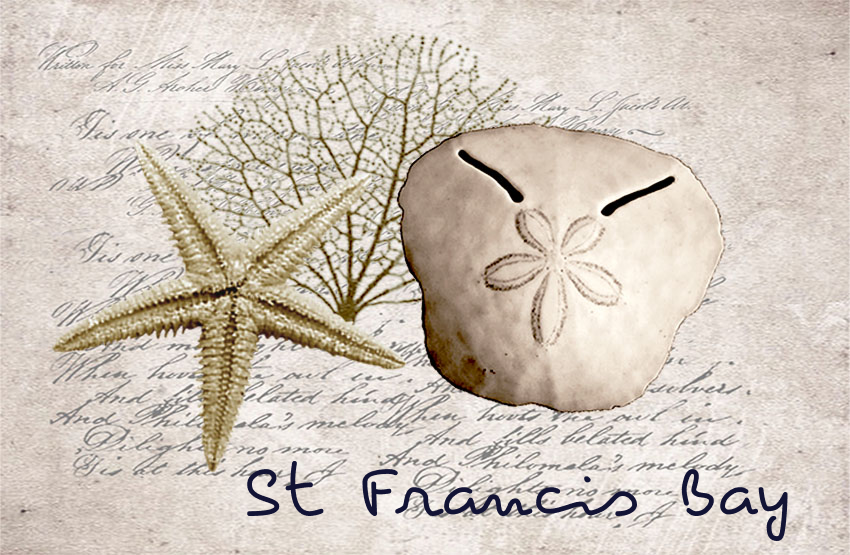 Product showcase image from staged upload