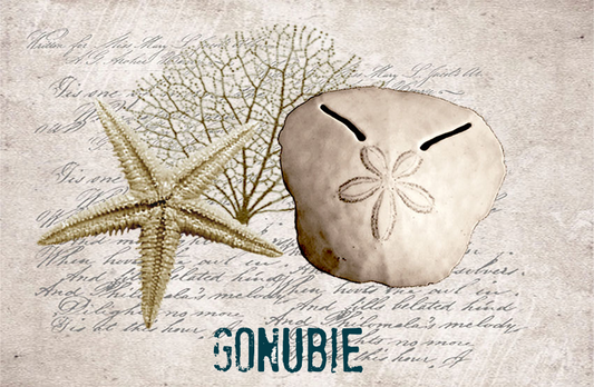 Gonubie Magnet 10