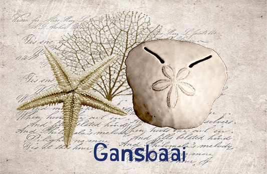 Gansbaai Magnet 6