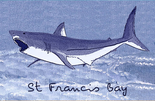 Product showcase image from staged upload