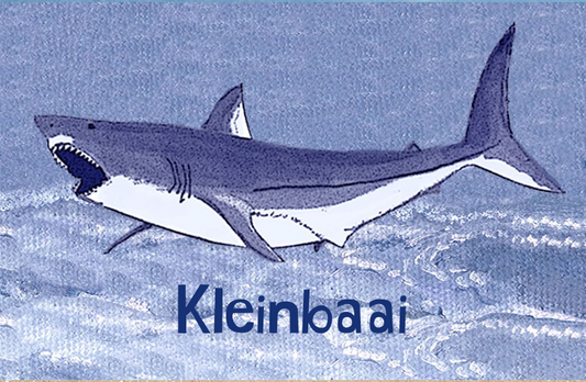 Kleinbaai Magnet 6