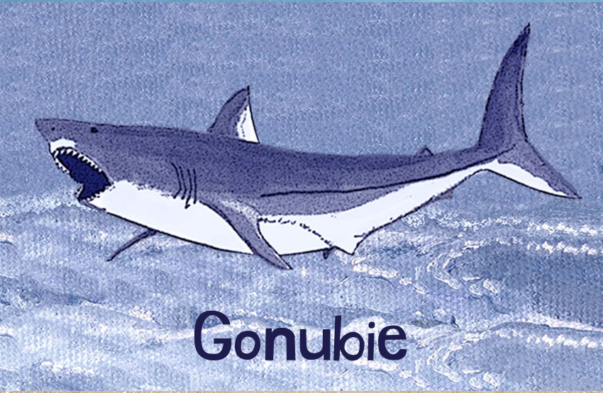 Gonubie Magnet 11