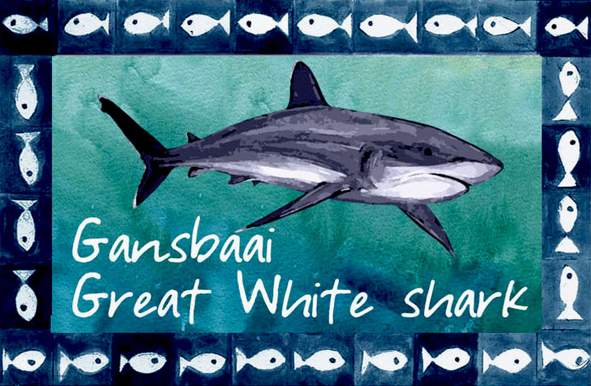 Great White House Magnet 42