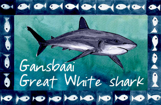 Great White House Magnet 42