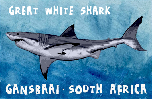 Great White House Magnet 33
