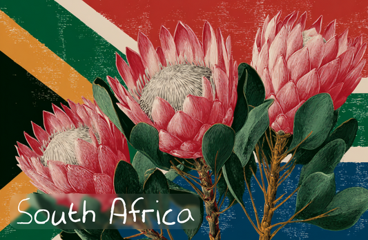 General South Africa Magnet 10