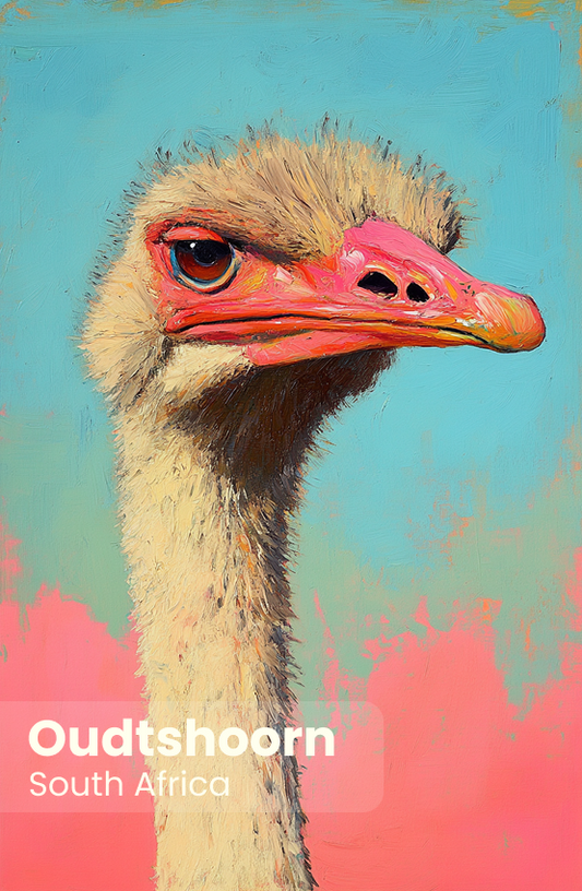 Oudtshoorn Magnet 18