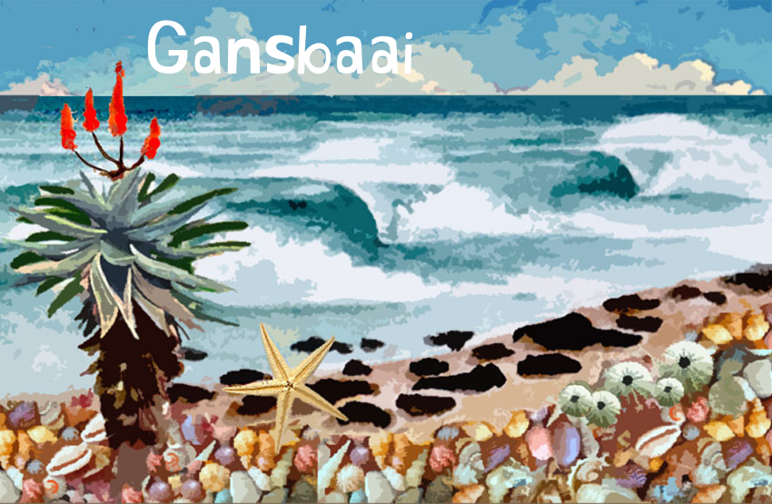 Gansbaai Magnet 14