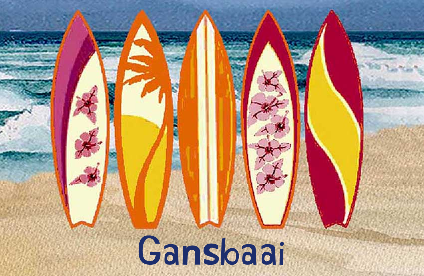 Gansbaai Magnet 19