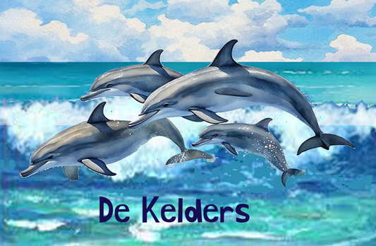 De Kelders Magnet 21