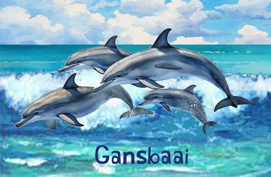 Gansbaai Magnet 21
