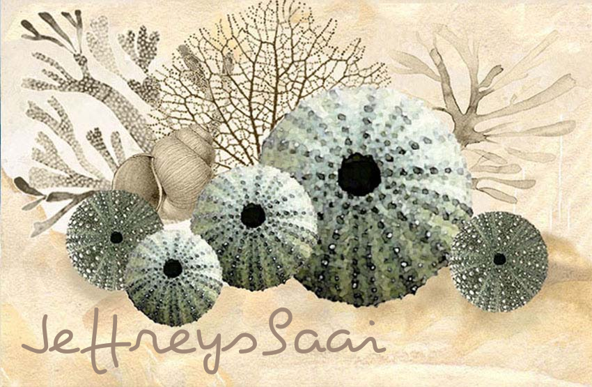 Jeffreysbaai Magnet 36