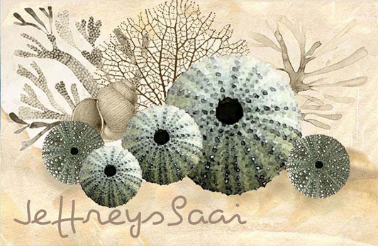 Jeffreysbaai Magnet 36