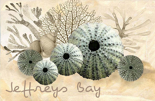 Jeffreys Bay Magnet 36