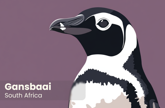 African Penguin Seabird Sanctuary Magnet 32