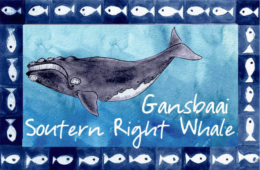 Great White House Magnet 44