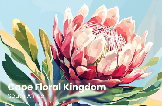 Cape Floral Kingdom Magnet 2