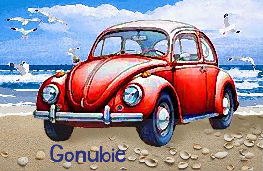 Gonubie Magnet 17