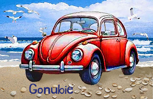 Gonubie Magnet 17