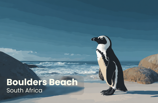 Boulders Beach Magnet 2