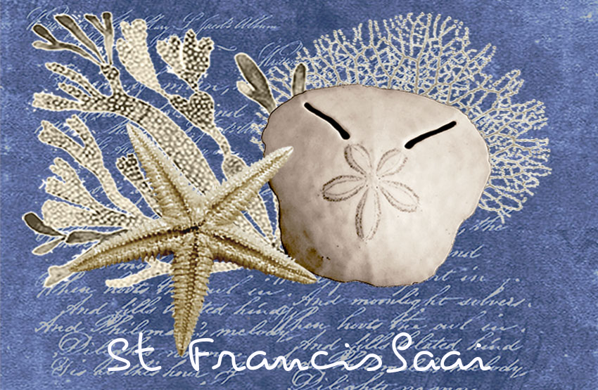 Product showcase image from staged upload