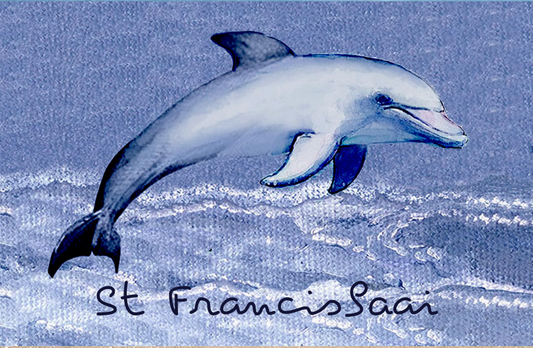 Product showcase image from staged upload