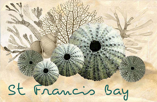 Product showcase image from staged upload