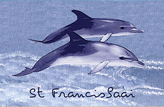 Product showcase image from staged upload