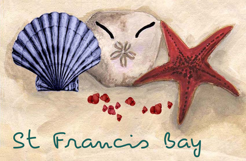 Product showcase image from staged upload