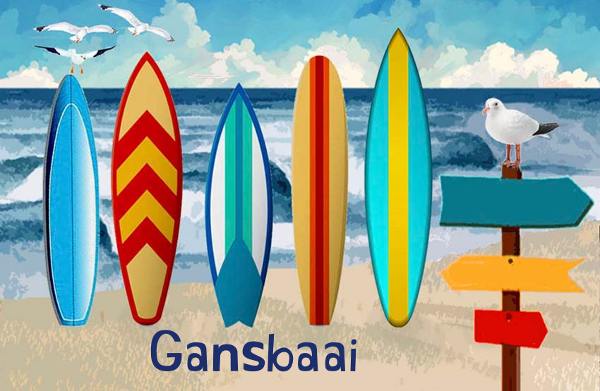 Gansbaai Magnet 29