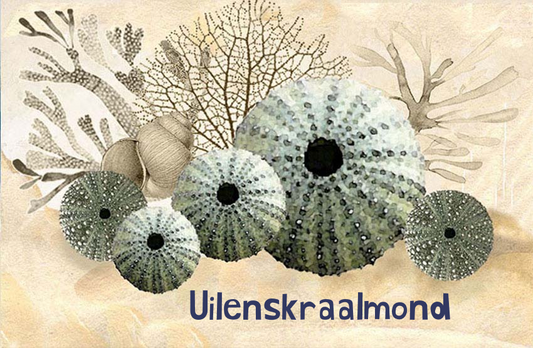 Uilenskraalmond Magnet 29