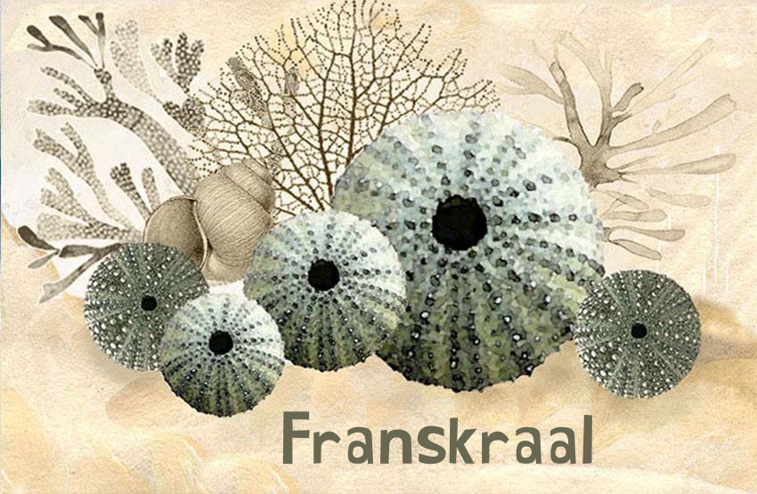 Franskraal Magnet 29