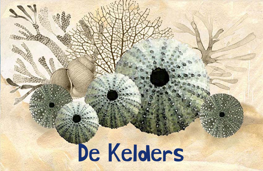 De Kelders Magnet 29