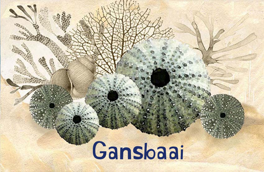 Gansbaai Magnet 30