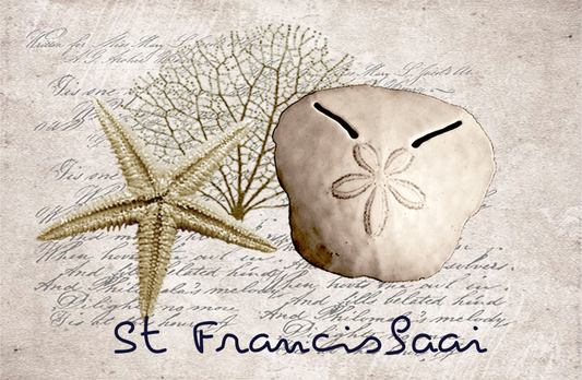 Product showcase image from staged upload