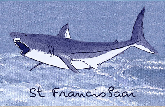 Product showcase image from staged upload