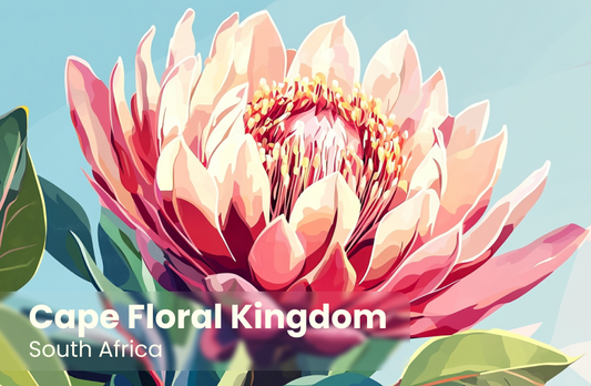 Cape Floral Kingdom Magnet 3